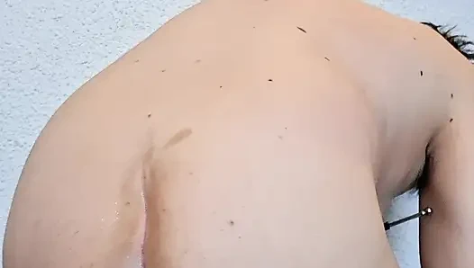 Meme uçlarına ve lopette deliği işkencesi