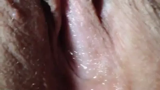 damlayan ıslak kedi