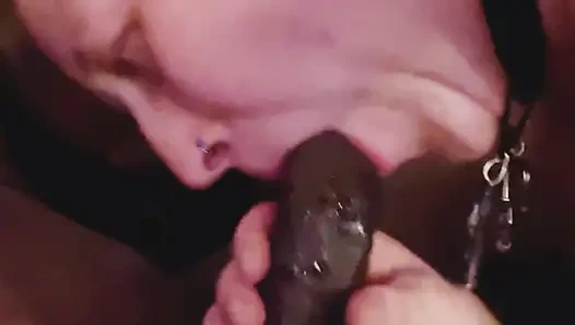 Sikişmek ve hayvan gibi muamele görmek istiyor