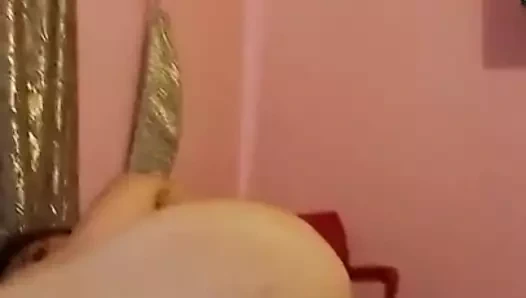 Arap köpek stili çok dik