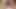 Plonx.com facesitting derleme
