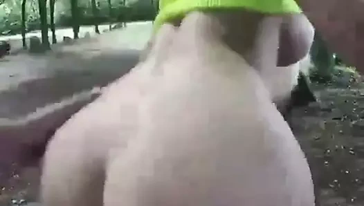 sarışın sürme horoz ve alma ağız dolusu