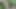 Sex in the Forest. Stepdad fucks his stepdaughter outdoors near the beach until he finishes her inside and gets her pregnant