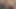 Kıllı sarışın sürtük bir bbc tarafından bir ayakkabı mağazasında yakalandı