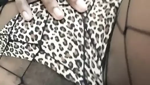 Yukarı yakın ıslak kedi oyun