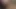 Bugün için bir başka ve son eşek videosu