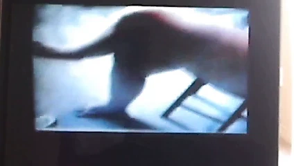 Kelly'nin bacakları - 2