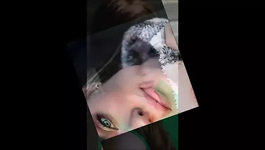 3341 renginde kaybolan vanilya