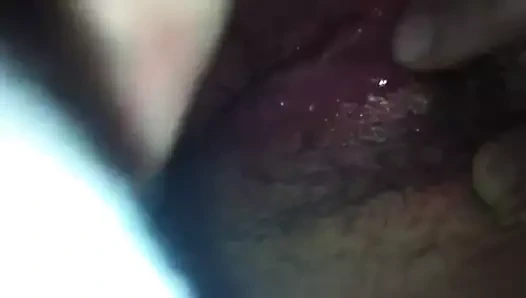 Noel şipşak! kedi ovmak!