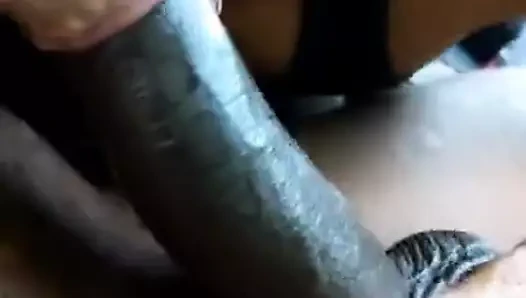 Latin piliç siyah et yeme