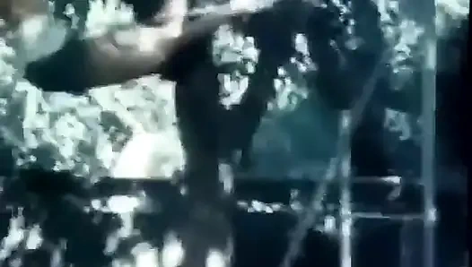 Klasik porno dvd'leri: hafta sonu kovboy kız: bölüm 5