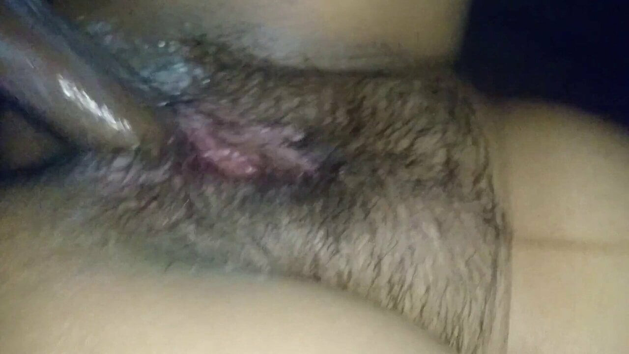 Büyük siyah horoz içinde kremsi latina hamile kedi