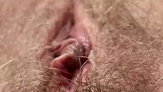 Kıllı oyuncak kedi