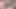 Azgın orta yaşlı seksi kadın sarışın ve esmer hatunlarla yarak emiyor