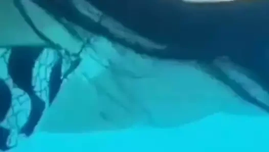 Vp07 - veronika özel 12drr