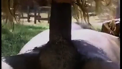 Tombul kira gets ona kıllı kapmak sürülmüş açık havada