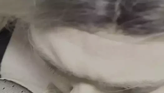 Amatuer cd büyük zenci