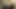 tek başına skype