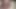 The young beauty thanked her stepbrother for a new sweater with a juicy sucking