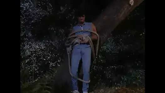 geriye dönük kasa 69