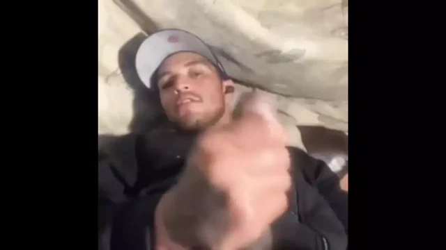 Büyük kahverengi yarak