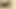 My hot 58 year old wife asks our maid's young son to cum on her hairy pussy