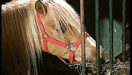 Ateşli Hizmetçi Tutkulu Oral Çılgınlığında Yarak Emiyor