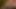 santas little helper under the Christmas tree now in full 4K high quality Ultra HD
