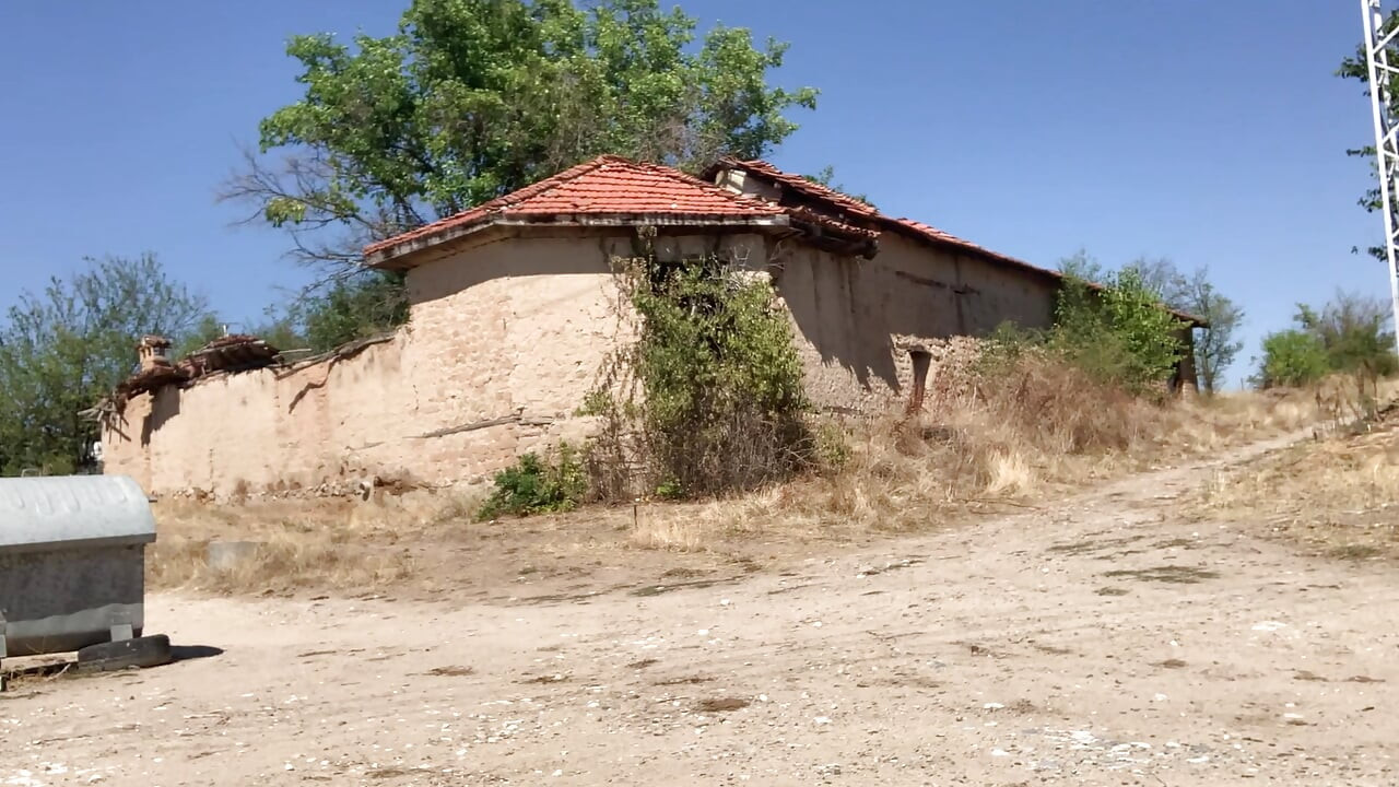 2025'te doğada çıplak