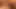 Lesbos tanya tate ve lilly ford yemek kedi ve scissor sikme