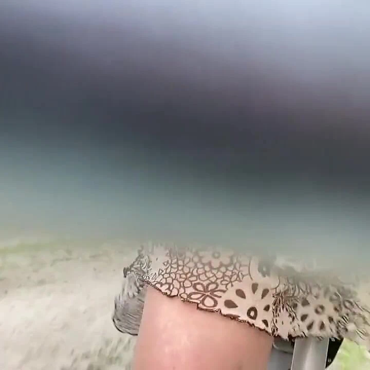 Bisiklet yolculuğu - teşhir, amında ve götünde dildoyla binme, götte dildoyla yol boyunca binme