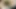 Anna Lovato ve Caprice Jane ile lezbiyen sahnesi orta yaşlı seksi kadınlar