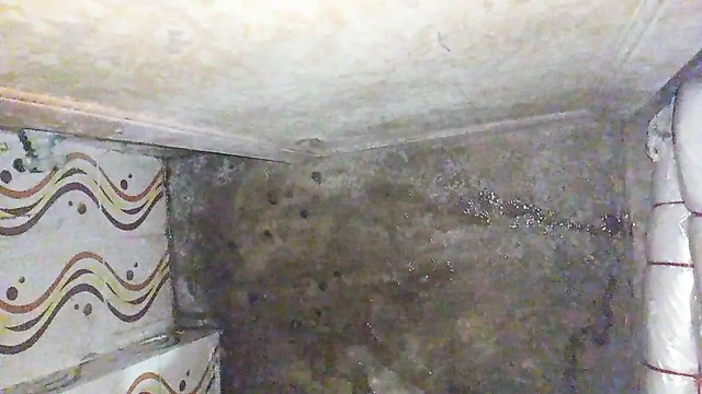 Hintli eşcinsel oğlan açık havada büyük penisle mastürbasyon yapıyor