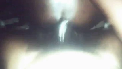 İyi boi pussi (fındık)