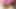 Piknik öğle yemeği randevus. Grup Tee Beauty dölleme telaşına düşüyor.
