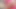 Seksi trans sürtük Drika Lima fervid makinesinin sikişmelerinin tadını çıkarıyor