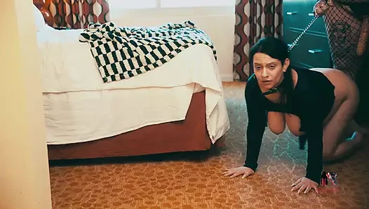 Evet temiz belden bağlamalı