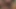 Seksi esmer ve götten sikilen erkeklerle biseksüel üçlü seks