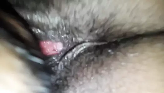 amatör ıslak KEDİ bbc