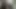 Aaron tarafından korunmasız kullanılan domuz Ludwig