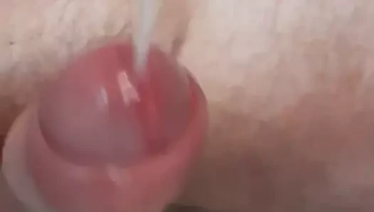 pompalanan horoz sağladım