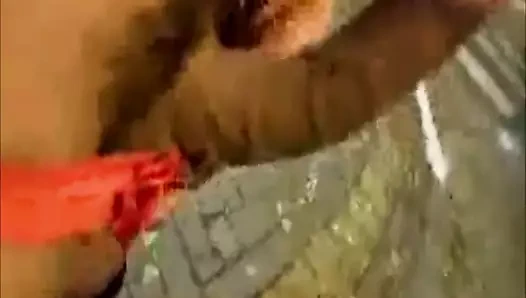 o sokaklarda onun horoz mastürbasyon yapmak