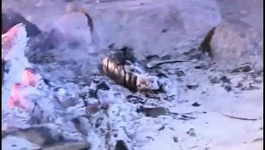 Frisky Asyalı lezbiyenler kamp ateşinin yanında birbirlerinin hassas göğüslerini ve ıslak amcıklarını emiyor