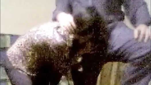 Bilja majstor za pusenje