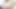 A prostitute in Pattaya uses a dildo to penetrate her vagina and sends videos to clients. RealThaiSolo