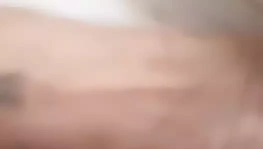 oyun ile onu kedi