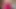 Büyük götlü orta yaşlı seksi kadın tek başına hareket sırasında derin fışkırtarak çığlık atıyor
