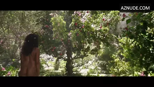 Schelaine bennett - harika eşek