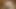 3d Creampie ve gerçek cumshot331
