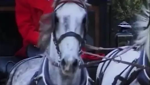 goya'nın maceraları